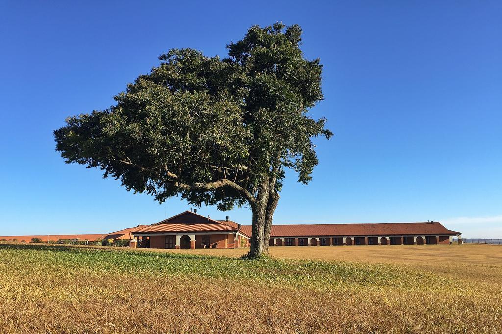 Tenonde Park Hotel São Miguel das Missões Kültér fotó